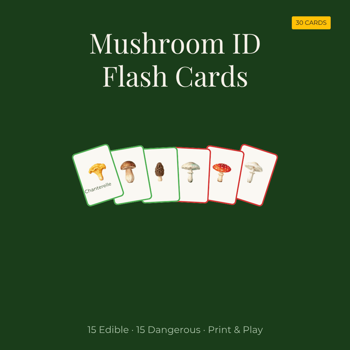 Mushroom Identification Flash Cards