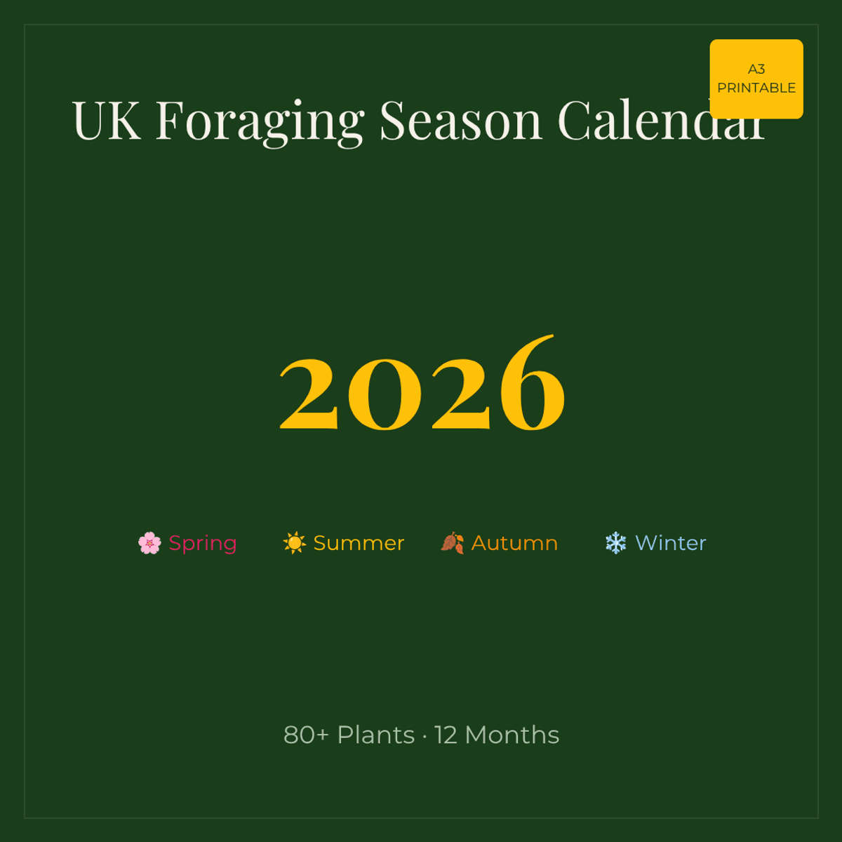 UK Foraging Season Calendar 2026